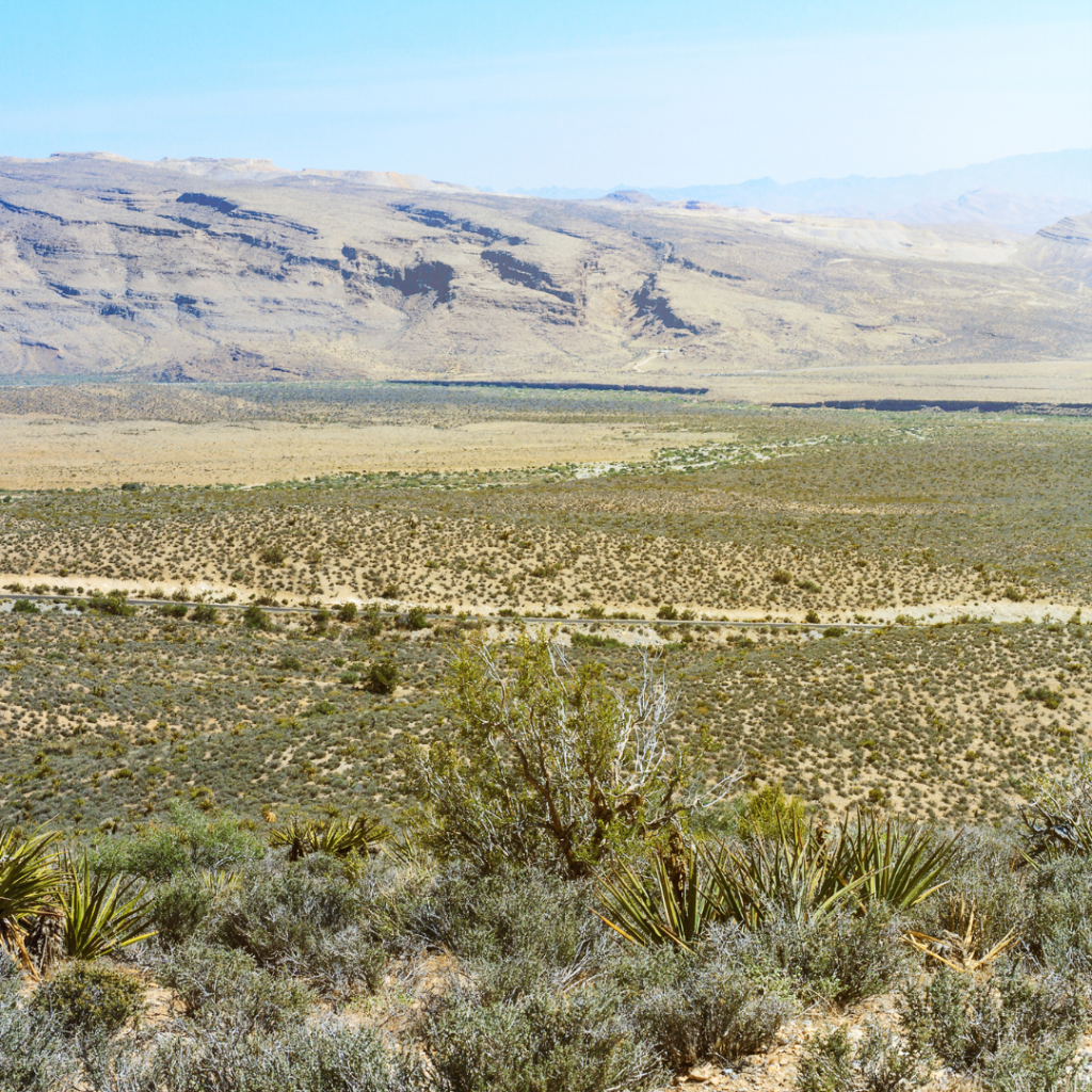 Cortez Masto Reintroduces Southern Nevada Economic Development and Conservation Act